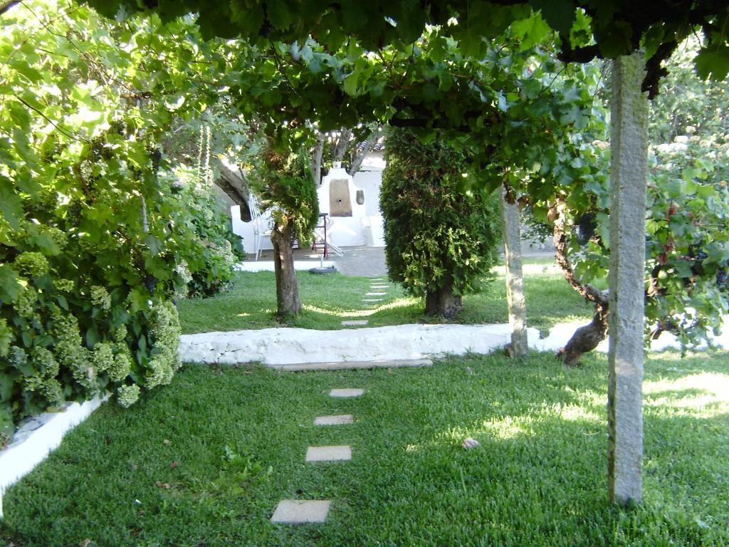 Turimenha Casa de hóspedes Marvão Exterior foto